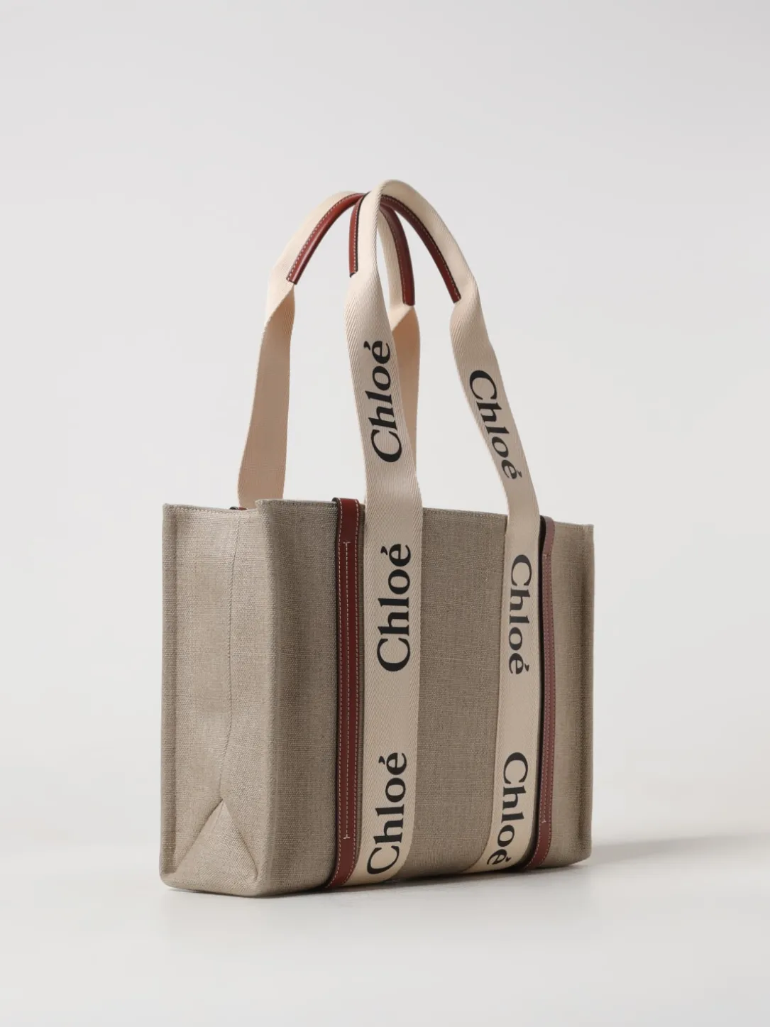 Borsa Chloè in canvas e pelle