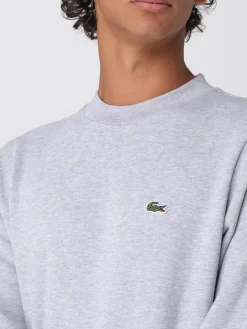 Felpa basic Lacoste in cotone