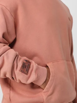 Felpa con cappuccio in cotone Lacoste