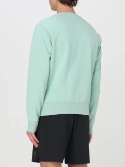 Felpa Polo Ralph Lauren in cotone